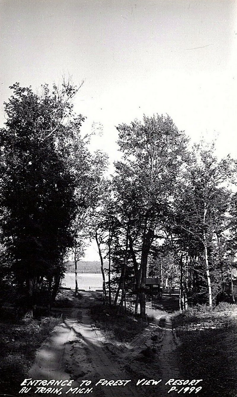 Northern Nights Resort (Crists Forest View Resort) - Vintage Postcard (newer photo)